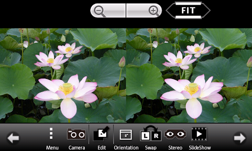 3DSteroid Pro Capture d'écran