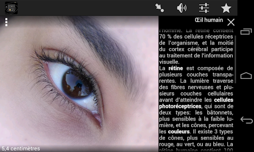 Cozmic Zoom Light Capture d'écran