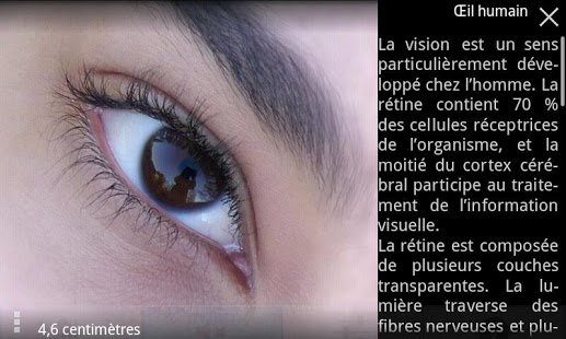 Cozmic Zoom Capture d'écran