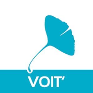 Ginko Voit’