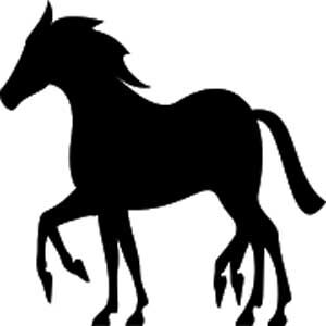 Albe – Réseau social de l’équitation