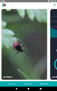 Signalement TIQUE Capture d'écran