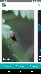 Signalement TIQUE Capture d'écran