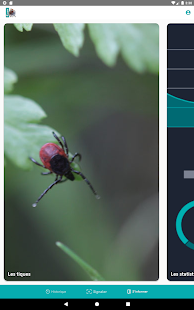 Signalement TIQUE Capture d'écran